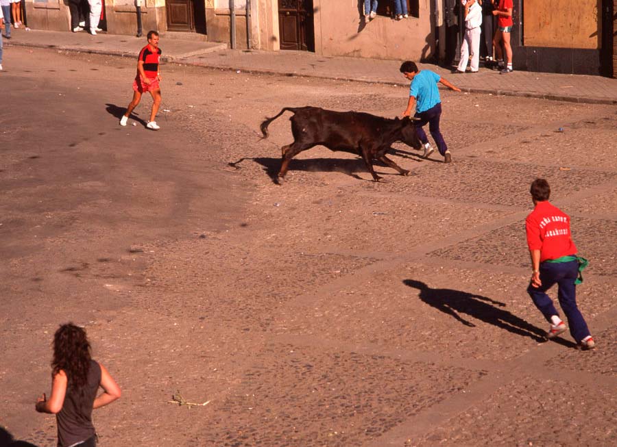 Encierros