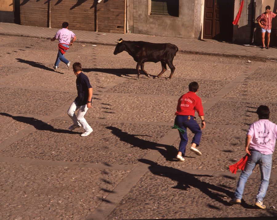 Encierros