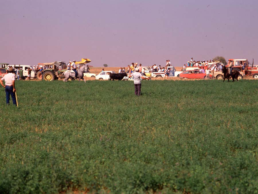 Encierros