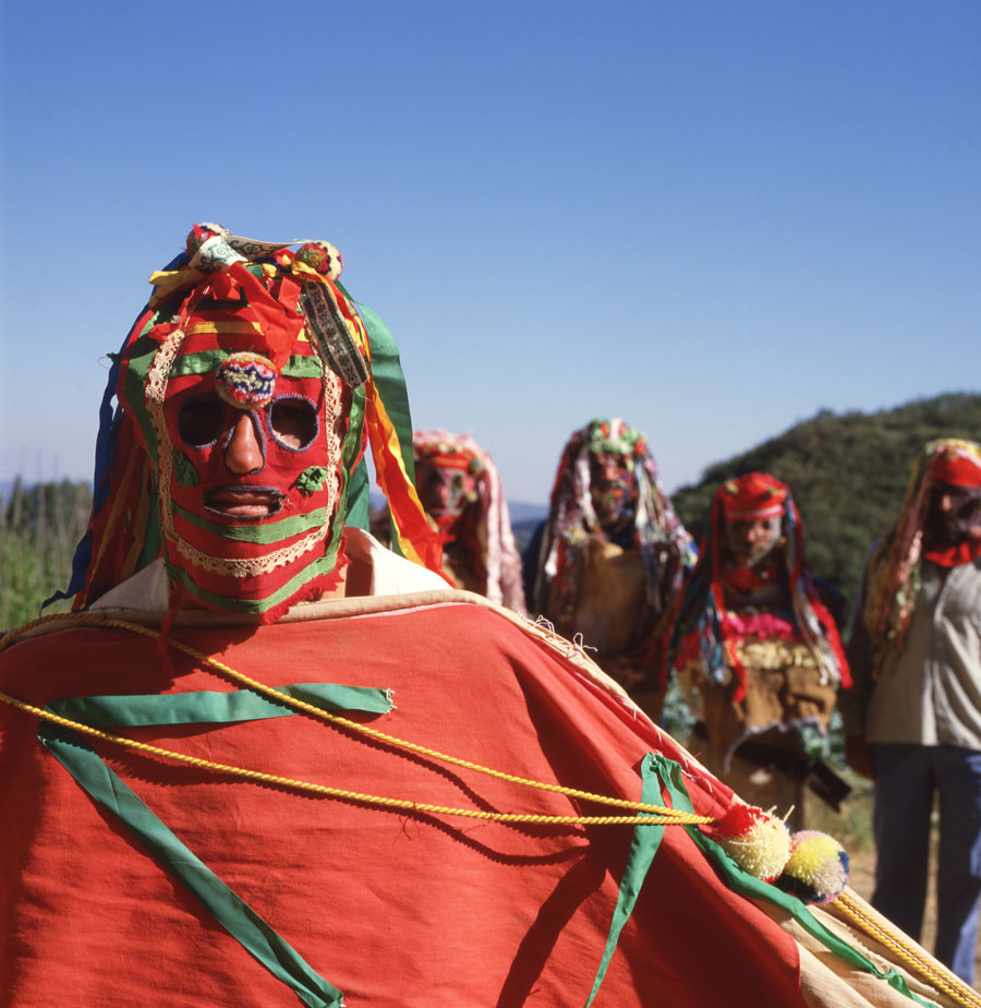Visparra Talanqueira