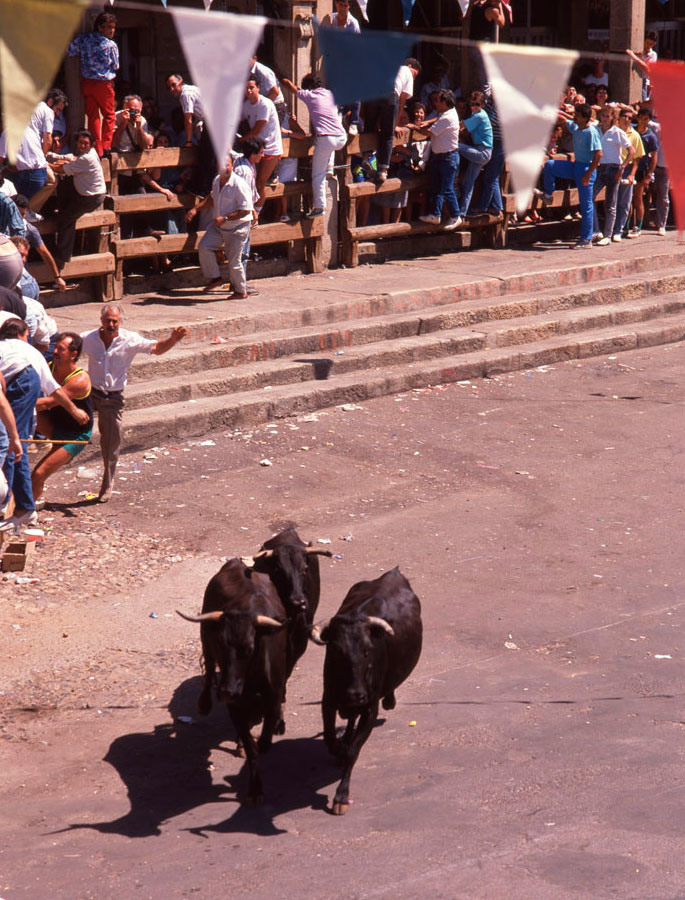 Encierros