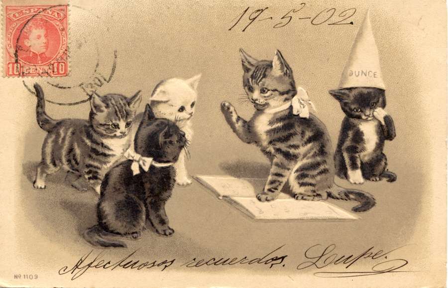 Tarjeta postal