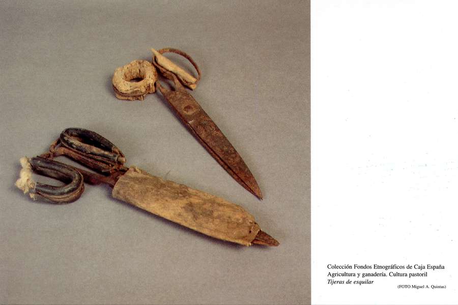Tijeras de esquilar