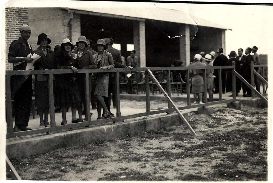 Campo