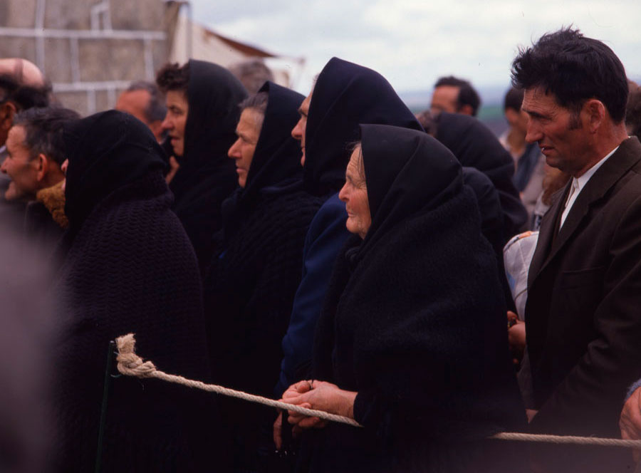 Romeria de la Luz