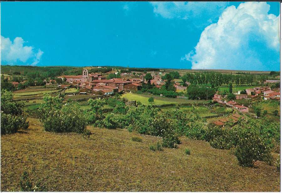 Alcañices a vista de pájaro