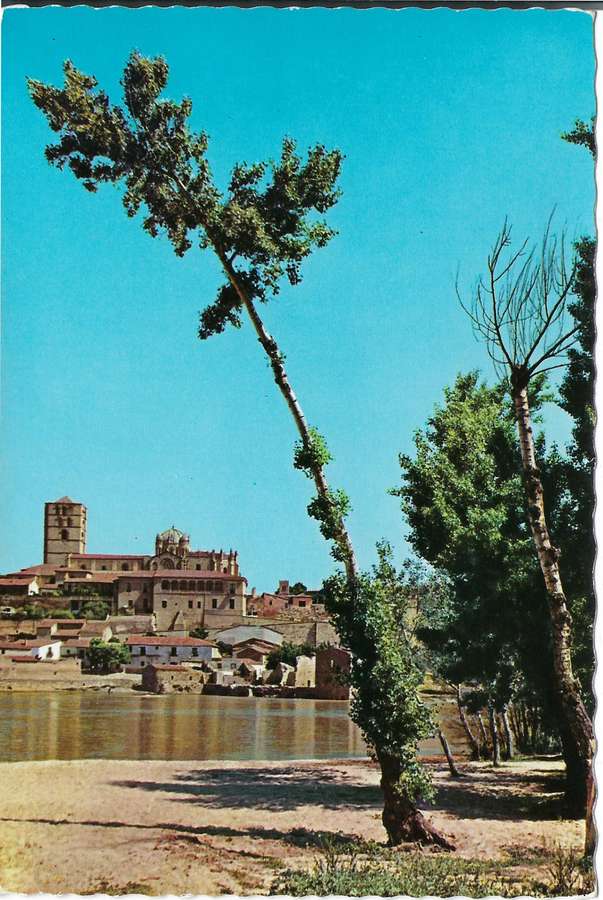 Vista parcial de Zamora