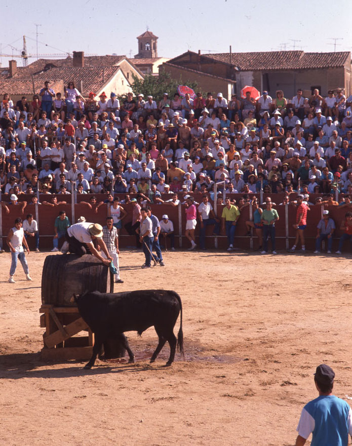 La fuente del vino