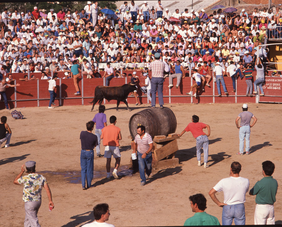 La fuente del vino