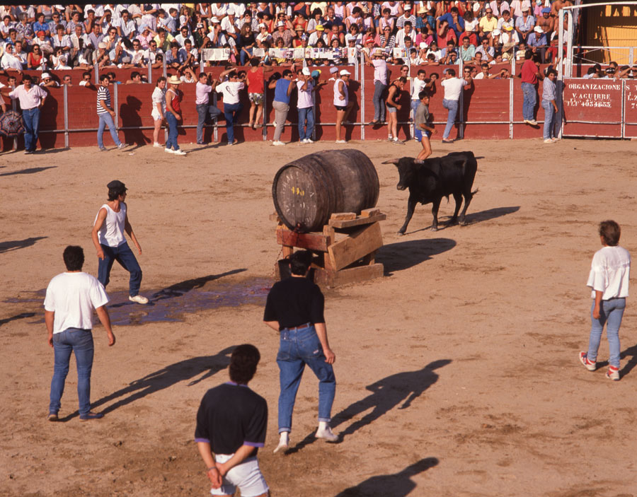 La fuente del vino