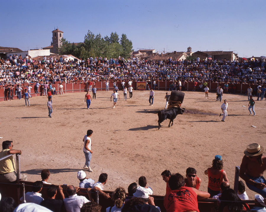 La fuente del vino