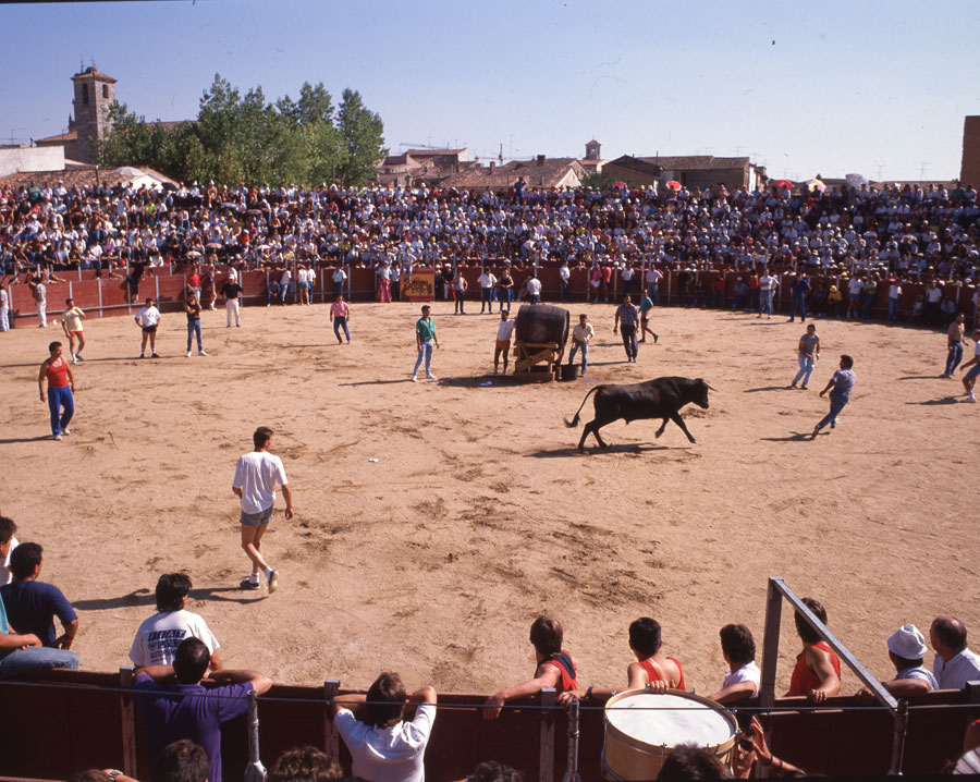 La fuente del vino