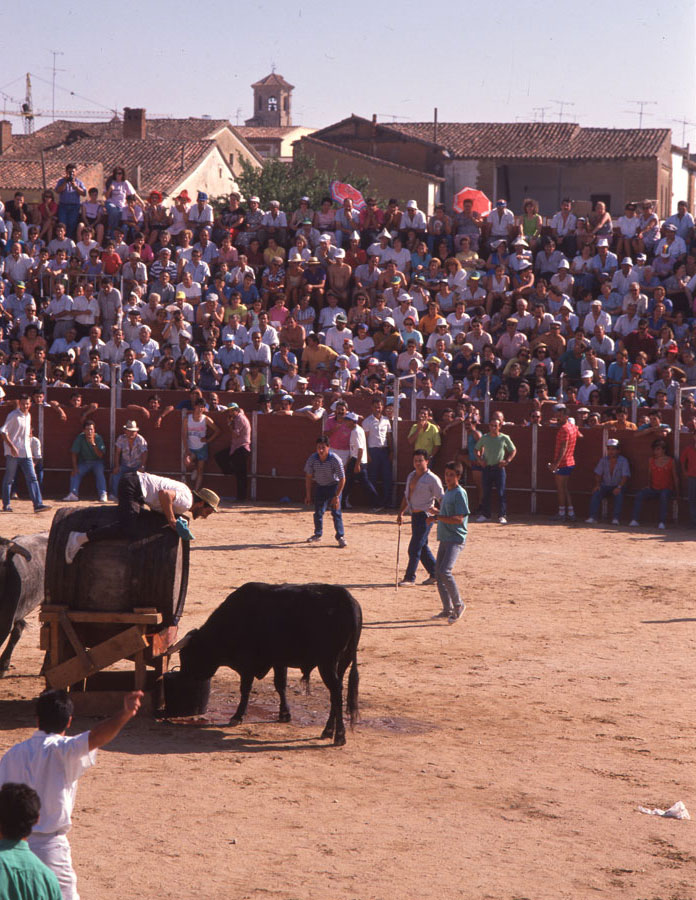 La fuente del vino