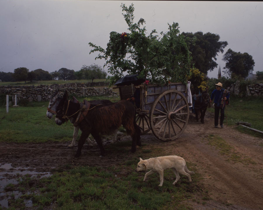 Romería de la Bendición de Campos