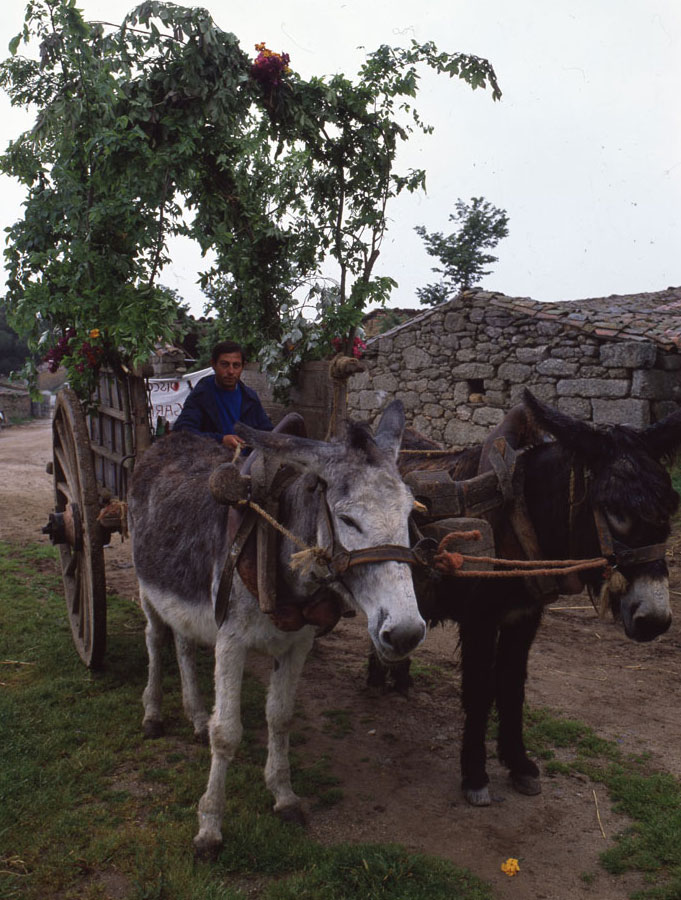 Romería de la Bendición de Campos