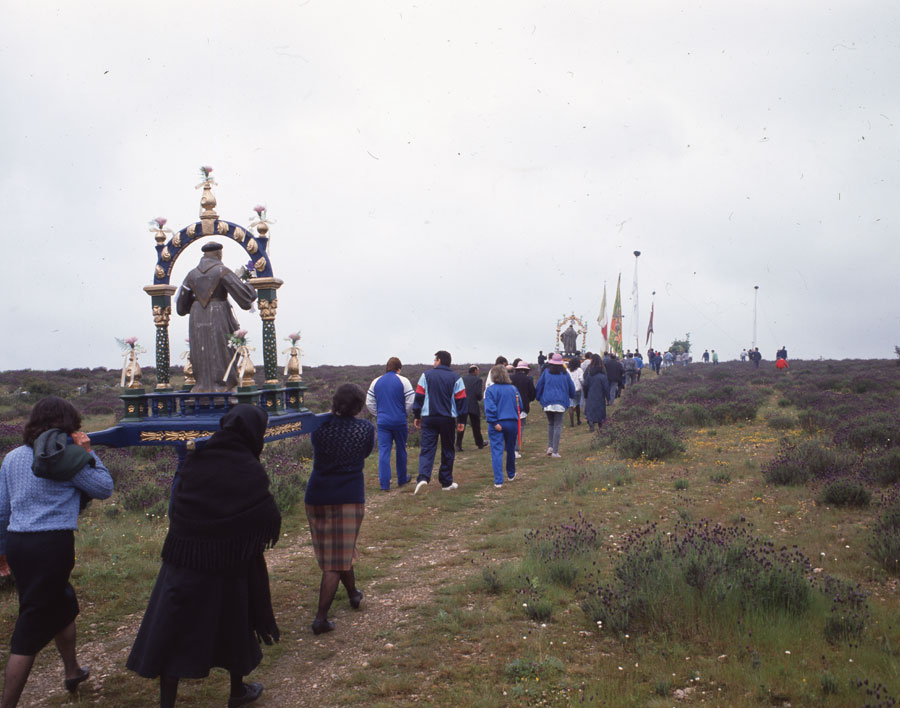 Romería de la Bendición de Campos