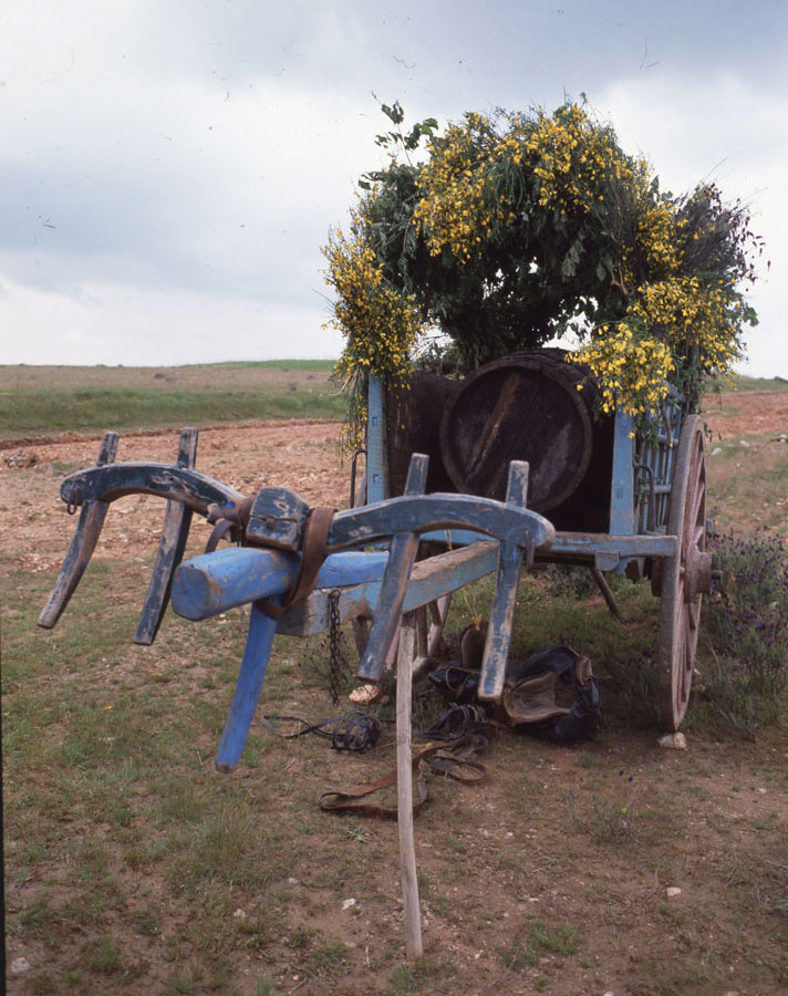 Romería de la Bendición de Campos