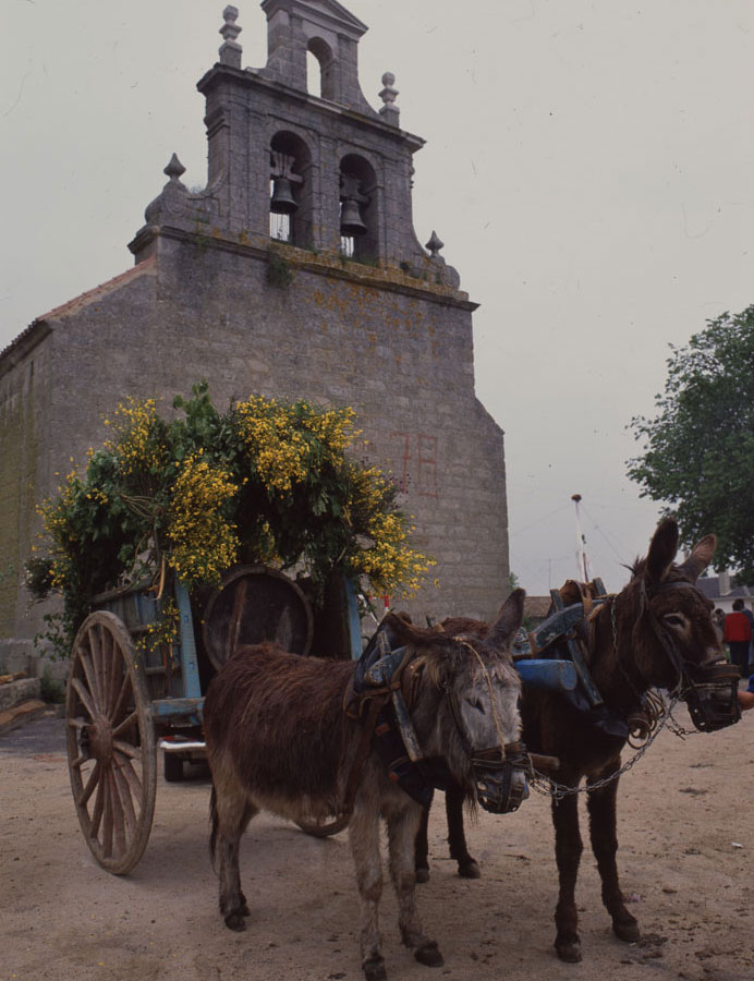 Romería de la Bendición de Campos