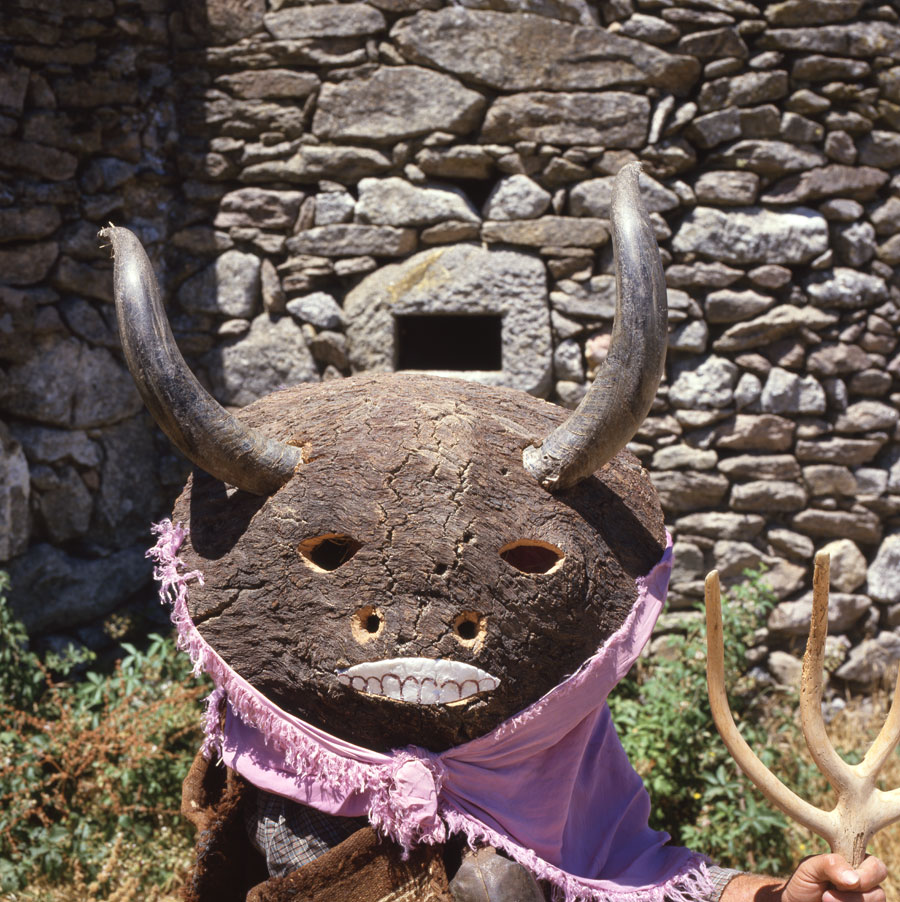 La Vaca Bayona
