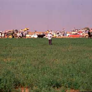 Encierros