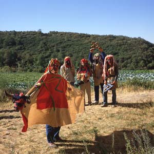 Visparra Talanqueira