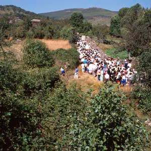 Romería de La Peregrina