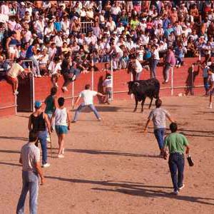 Encierros