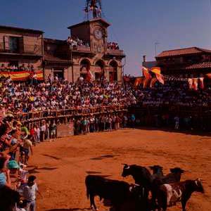 Encierros