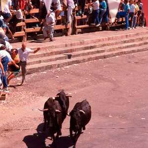 Encierros