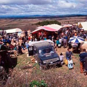 Romeria de la Luz