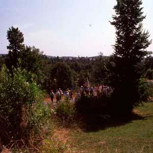 Romería de La Alcobilla