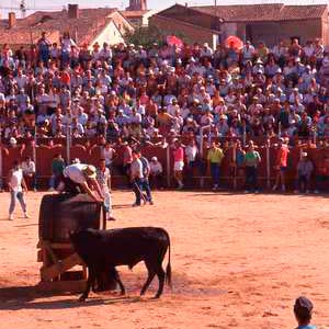 La fuente del vino