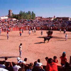 La fuente del vino