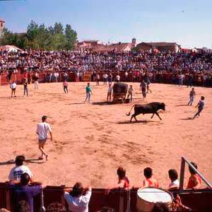La fuente del vino