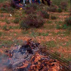 Romería de la Bendición de Campos