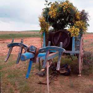 Romería de la Bendición de Campos