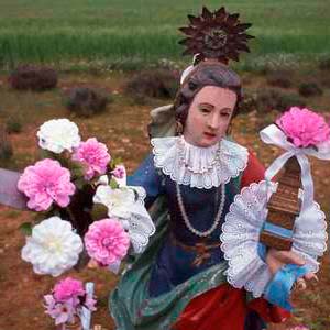 Romería de la Bendición de Campos
