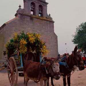 Romería de la Bendición de Campos
