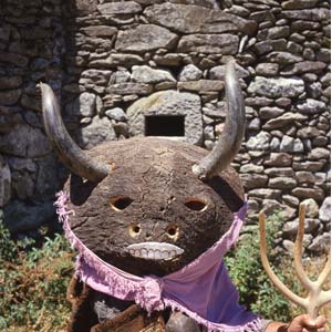 La Vaca Bayona