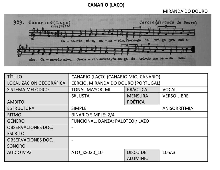 CANARIO